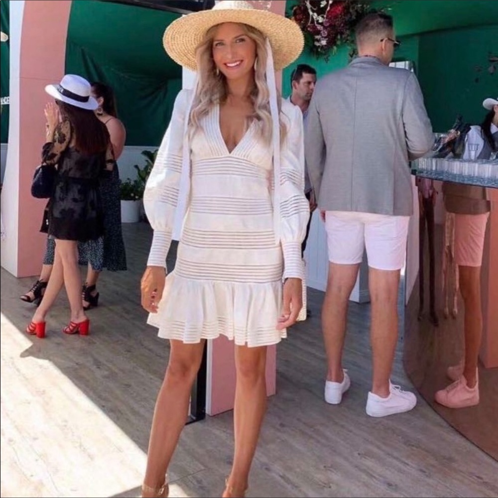 NWT Zimmermann Corsage Linear Mini Dress - Picture 3 of 8